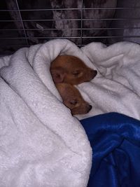 IMG-20201216-WA0074